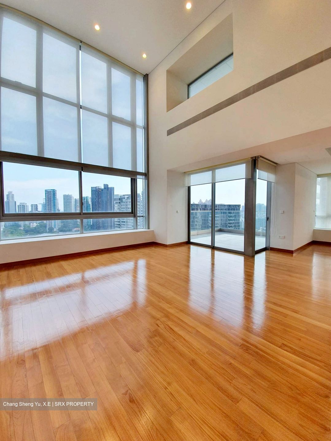 Skyline @ Orchard Boulevard (D9), Apartment #410725631